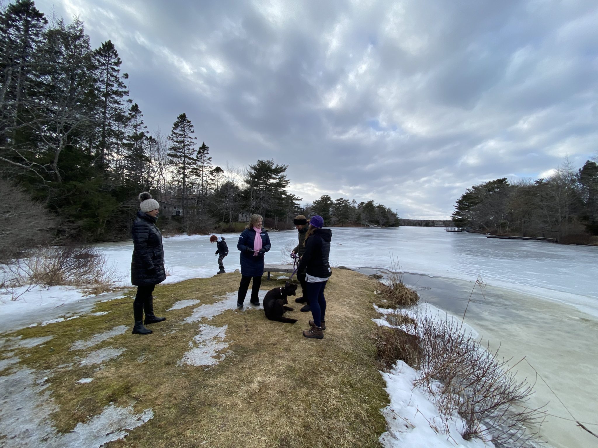 Hard Work brings back the Sheldrake Lake Wharf John Bignell